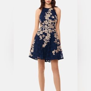 Xscape Women's Lace Fit & Flare Dress Blue Size 8